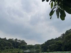-南国桃园旅游度假区