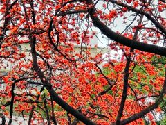 -烈士陵园(地铁站)