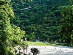 -阳台山森林公园