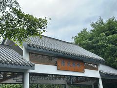 -森波拉奇妙世界