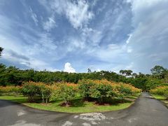 -中国科学院西双版纳热带植物园