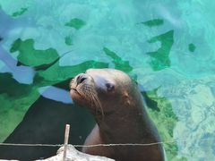 -珠海长隆海洋王国