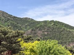 -北京西山国家森林公园