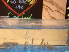 -常德武陵天济喜来登酒店-盛宴餐厅