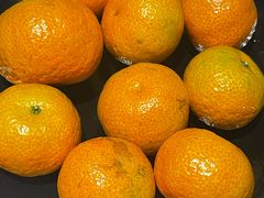 -徐记海鲜(阿波罗店)