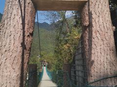-遂昌金矿国家矿山公园