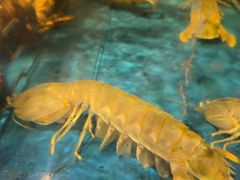 -南海渔村(珠江新城店)
