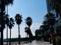 -金沙湖公园