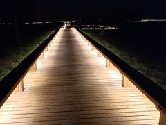 -汉长安城未央宫国家考古遗址公园