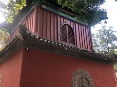 -大觉寺-停车场