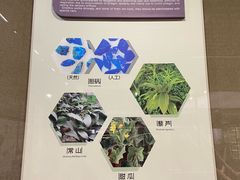 -北京中医药大学-中医药博物馆