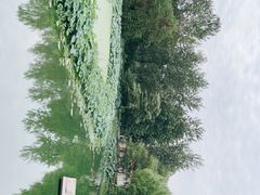 -月湖风景区