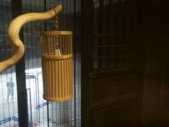 -德迹斋禅意文化茶馆·茶空间·商务洽谈•宴席(桃园店)