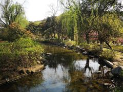 -白马涧龙池景区