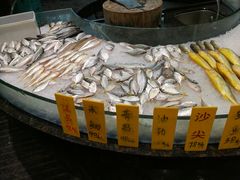 -锦粤宫·精致粤菜(阳西店)