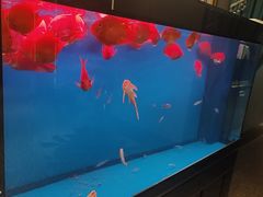 -康悦足疗(长安锦绣店)