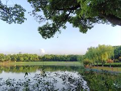-黄兴公园