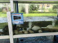 -宴悦海鲜餐厅·游水海鲜·牛排(亚龙湾瑞吉店)