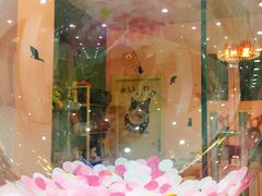 -三花喵·撸猫购宠·宠物生活馆(虹桥南丰城店)