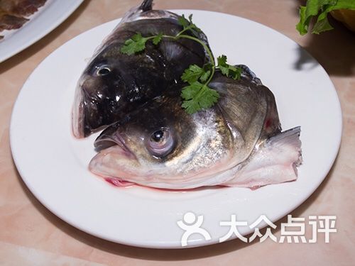 大長腿美蛙魚頭(金沙店)魚頭圖片 - 第1張