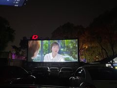 -枫花园汽车电影院(朝阳公园店)