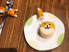 -柴务处·柴犬主题狗咖