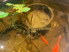 -漪龙台·B26 Rooftop Lounge