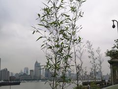 -黄浦江游览快线(金陵东路码头)