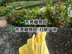 -东莞植物园