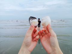 -江山半岛白浪滩景区