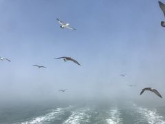 -海驴岛(荣成市)