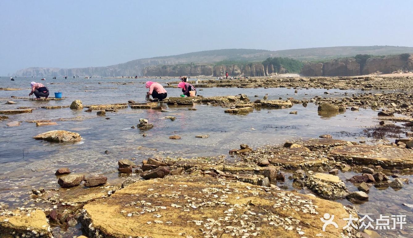瓦房店大排石赶海
