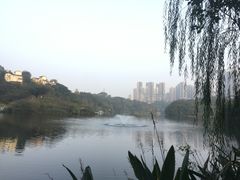 -重庆彩云湖湿地公园