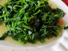 清炒牡丹菜-翕庐小苑