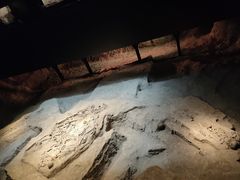 -侵华日军南京大屠杀遇难同胞纪念馆-停车场