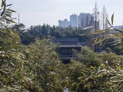-水绘园