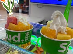 -Salud撒露欧洲冻酸奶(五道口购物中心店)