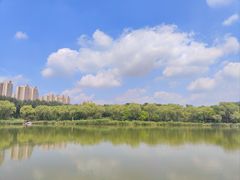 -燕郊植物园
