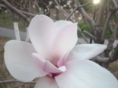 -北极寺公园