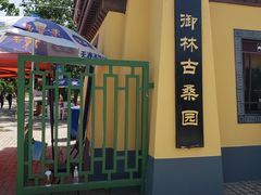 -御林古桑园