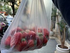 -城南综合水果批发市场(花园路店)
