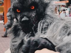 -成都欢乐谷