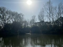 -溱湖国家湿地公园