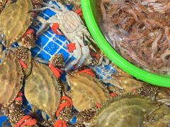 -77号渔船·蒸海鲜青岛菜(积米崖店)