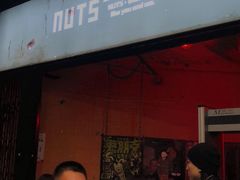 -坚果NUTS
