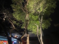 -建水文庙