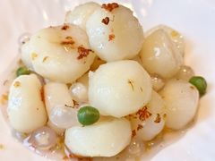 -峨嵋酒家 南北川菜 优选烤鸭(广渠路店)