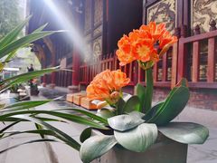 -古大圣慈寺