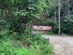 -五营红松林海景区