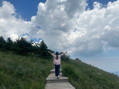 -白草畔自然风景区